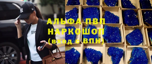 индика Абдулино